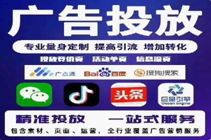 SEO与SEM优化案例：打造行业领先品牌